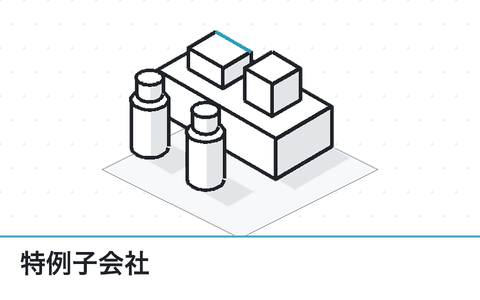 特例子会社の棚の図